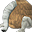 Demon nozuchi icon.png